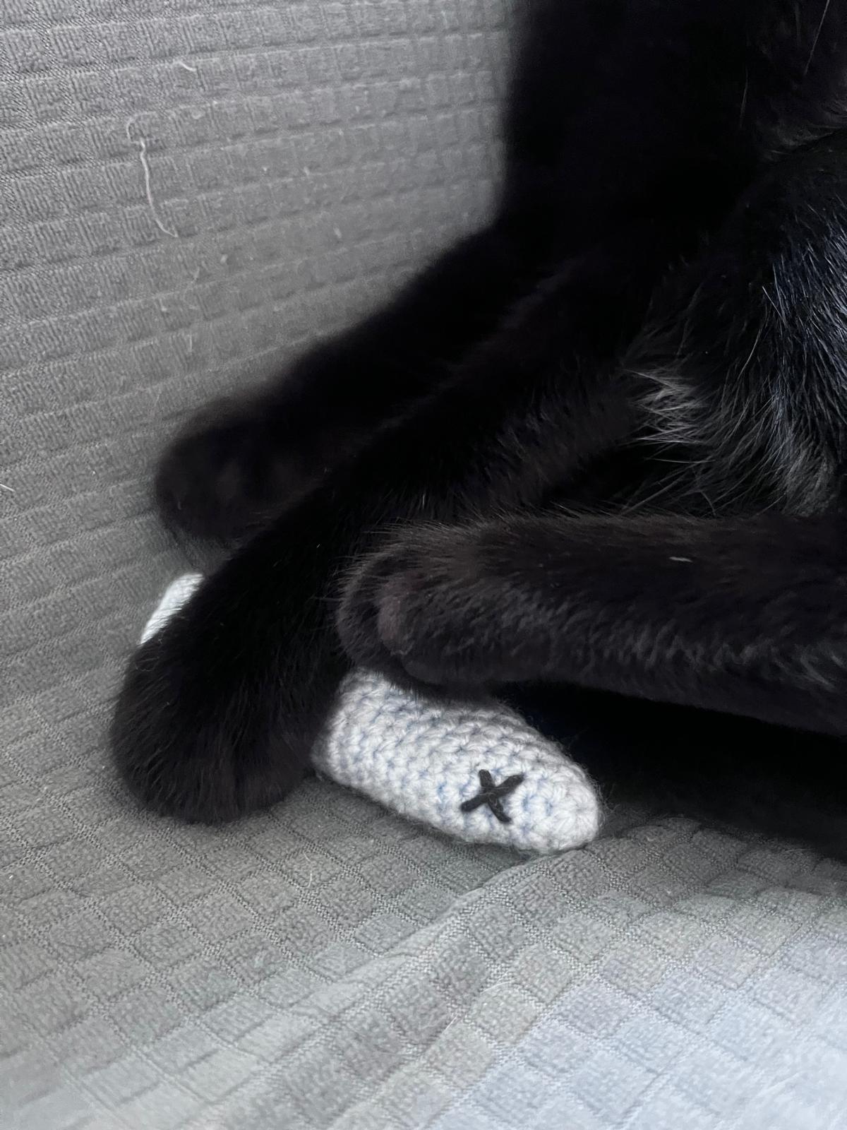 WhatsApp Image 2025-06-12 at 19.07.55 (2)